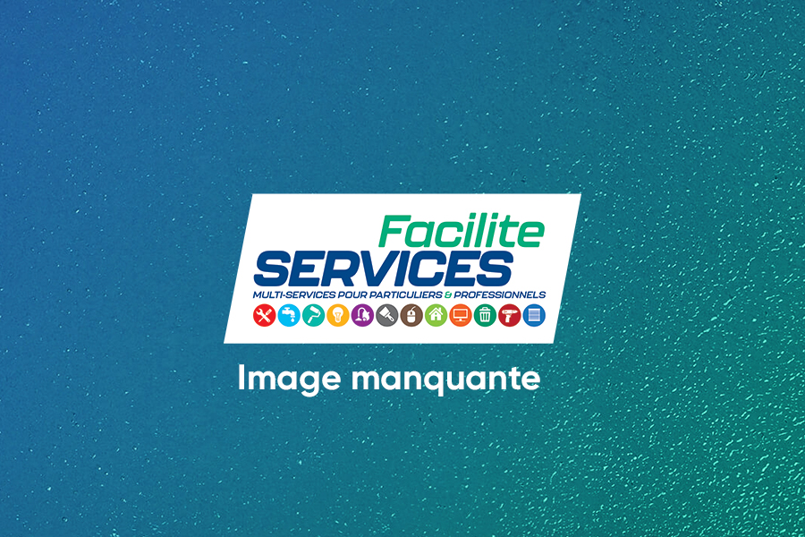 Facilite Services